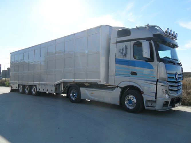 trailer-estandar-aluminio