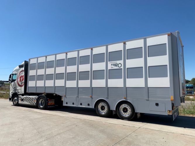 TRANSPORTE ANIMALES (15)
