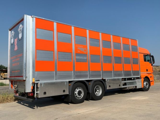 TRANSPORTE ANIMALES (2)