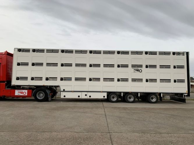TRANSPORTE ANIMALES (20)