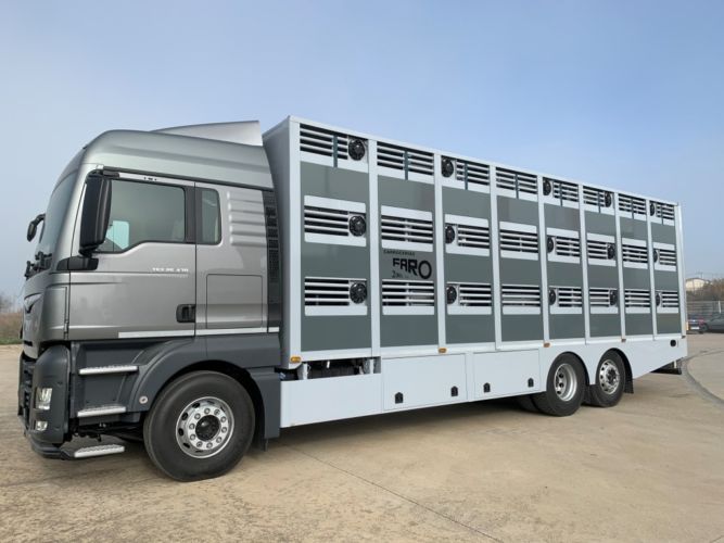 TRANSPORTE ANIMALES (3)