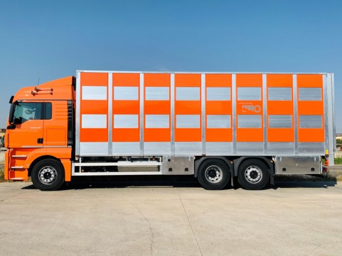 TRANSPORTE ANIMALES
